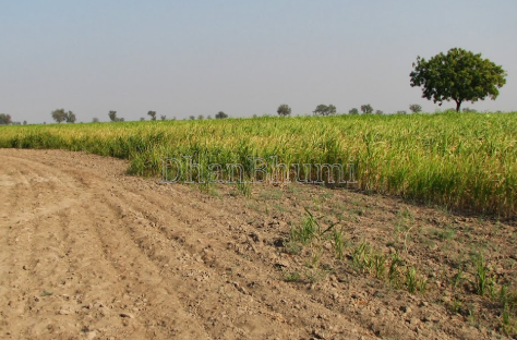 property_images/agricultural_in_ahmedabad_1786360925_6a79b45d53c09.png