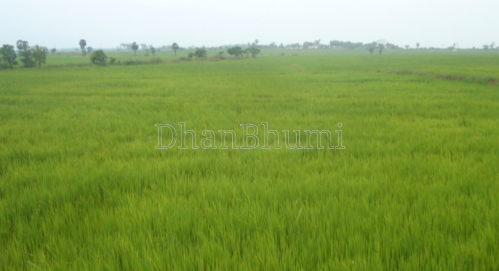 property_images/agricultural_in_ahmedabad_1786426103_6a7ab2f7eff58.png