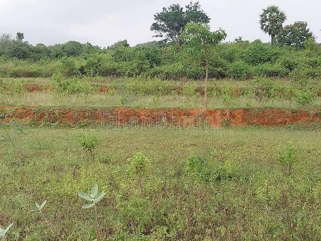 property_images/agricultural_in_ahmedabad_1789372859_6aa7a9bb48102.jpg