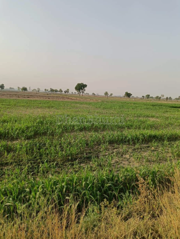 property_images/agricultural_in_ahmedabad_1789711578_6aacd4dabb36b.PNG