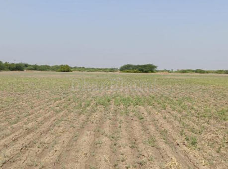 property_images/agricultural_in_ahmedabad_1790840603_6abe0f1b99f4e.png