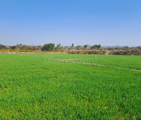 property_images/agricultural_in_ahmedabad_1790844801_6abe1f814c362.png