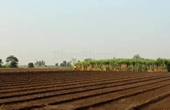 property_images/agricultural_in_ahmedabad_1791526226_6ac885528524d.png