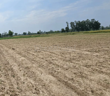 property_images/agricultural_in_ahmedabad_1791526577_6ac886b1380d2.png