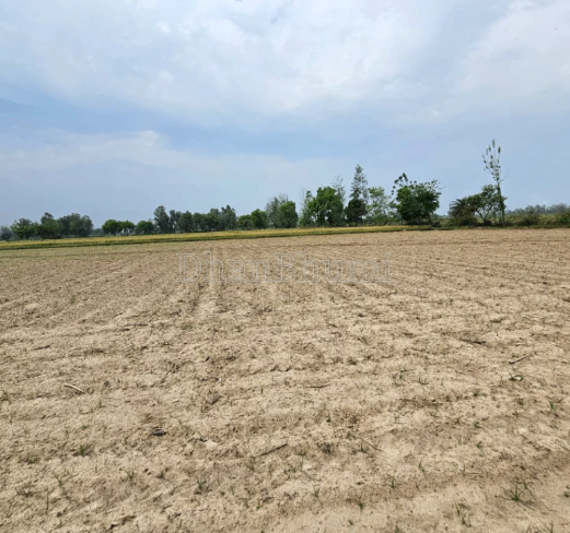 property_images/agricultural_in_ahmedabad_1791527228_6ac8893c12c8c.png
