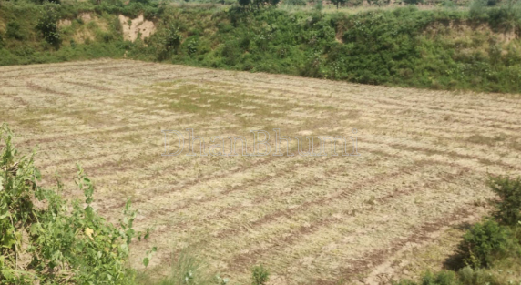 property_images/agricultural_in_ahmedabad_1791527415_6ac889f75ab6c.png