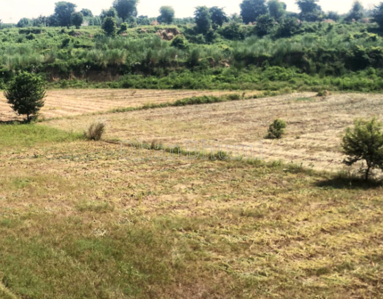 property_images/agricultural_in_ahmedabad_1791527635_6ac88ad3308a8.png