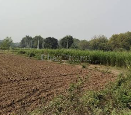 property_images/agricultural_in_ahmedabad_1791527989_6ac88c358dd6e.png