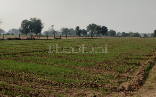 property_images/agricultural_in_ahmedabad_1791528485_6ac88e256f311.png