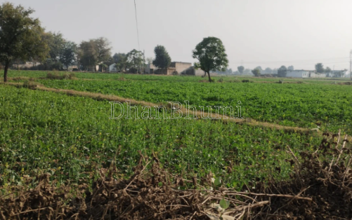 property_images/agricultural_in_ahmedabad_1791528700_6ac88efc0b8ae.png