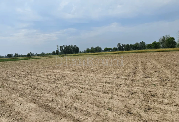 property_images/agricultural_in_ahmedabad_1791886711_6ace057720c05.png