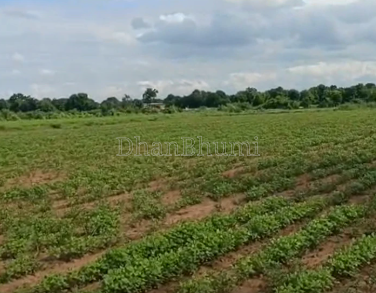 property_images/agricultural_in_ahmedabad_1791888778_6ace0d8ae0451.png