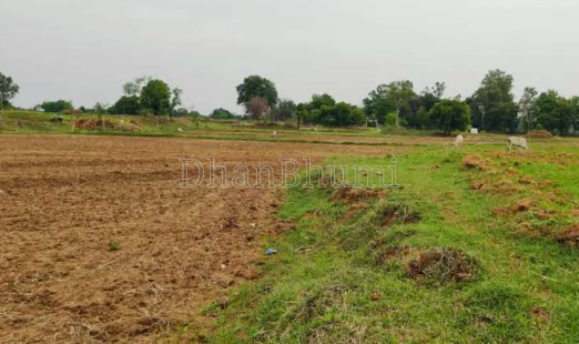 property_images/agricultural_in_ahmedabad_1791981705_6acf78896bf0c.PNG