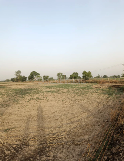 property_images/agricultural_in_ahmedabad_1791982402_6acf7b42638b4.PNG
