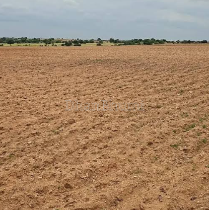 property_images/agricultural_in_ahmedabad_1792044345_6ad06d3983bd2.png