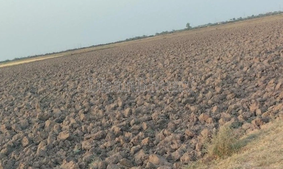 property_images/agricultural_in_ahmedabad_1792044908_6ad06f6c95675.png