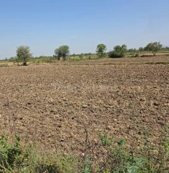 property_images/agricultural_in_ahmedabad_1792045308_6ad070fc844f9.png