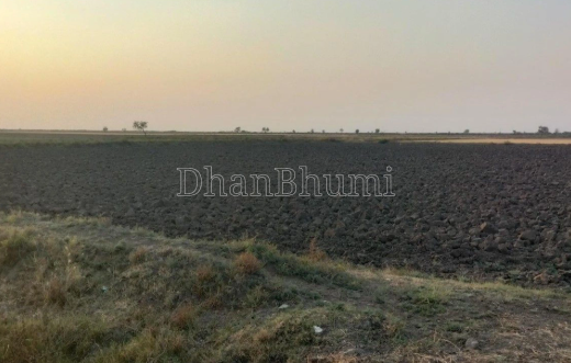 property_images/agricultural_in_ahmedabad_1792046308_6ad074e467a79.png