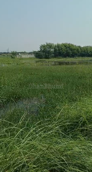 property_images/agricultural_in_ahmedabad_1792410806_6ad604b6a6c41.PNG