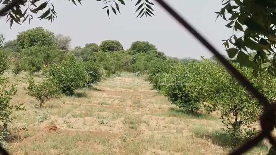 property_images/agricultural_in_ajmer_1781506146_6a2fa06212c2d.jpg