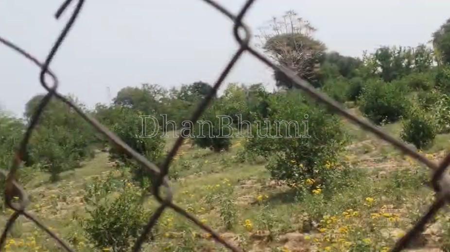 property_images/agricultural_in_ajmer_1781506146_6a2fa0621dabf.jpg