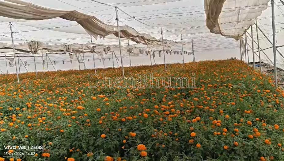 property_images/agricultural_in_ajmer_1781507088_6a2fa41057dab.jpg
