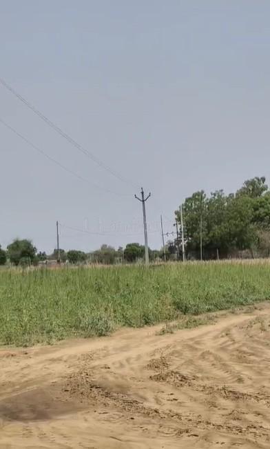 property_images/agricultural_in_ajmer_1781512937_6a2fbae94689d.jpg