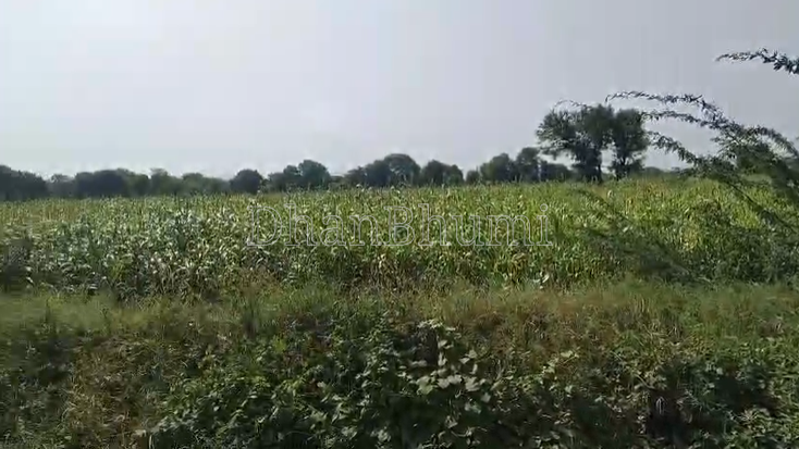 property_images/agricultural_in_ajmer_1789035416_6aa2839821261.png