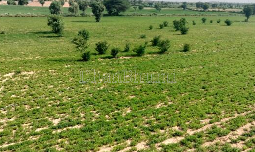 property_images/agricultural_in_ajmer_1789037717_6aa28c9519147.png