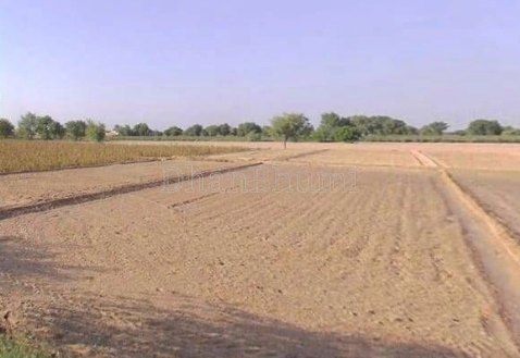 property_images/agricultural_in_ajmer_1789038018_6aa28dc2c657e.png