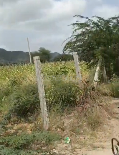 property_images/agricultural_in_ajmer_1789107316_6aa39c7417d2f.png