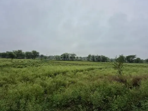 property_images/agricultural_in_ajmer_1789107917_6aa39ecd9d0a3.png