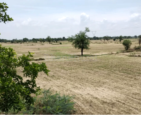 property_images/agricultural_in_ajmer_1789111027_6aa3aaf309e21.png