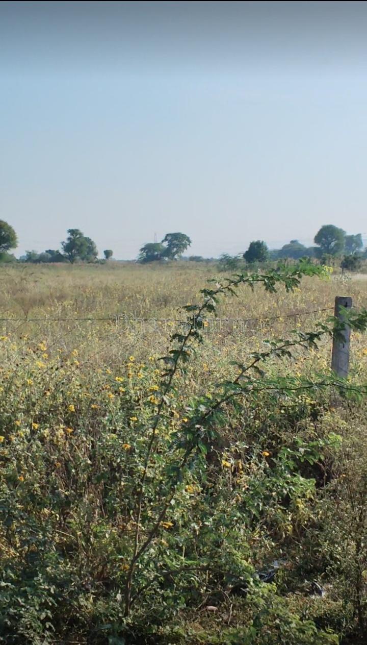 property_images/agricultural_in_ajmer_1790237505_6ab4db4145780.jpg