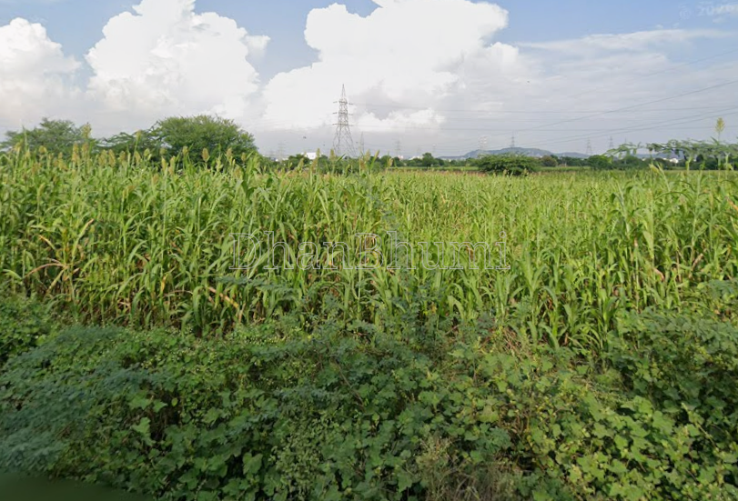 property_images/agricultural_in_ajmer_1790405081_6ab769d9ce30b.png