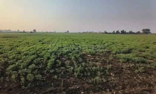 property_images/agricultural_in_akola_1780656727_6a22aa576775f.jpg