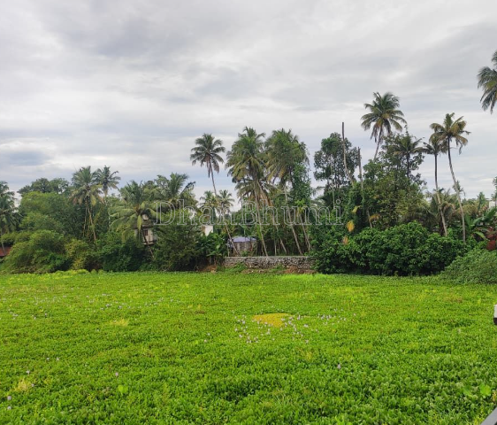 property_images/agricultural_in_alappuzha_1788170109_6a954f7d4b7a1.PNG
