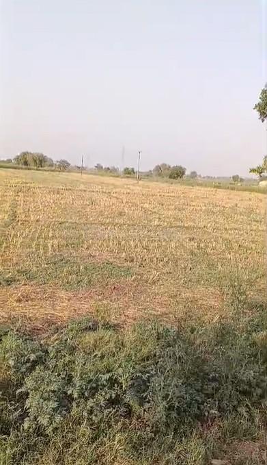 property_images/agricultural_in_aligarh_1781168647_6a2a7a07b68e9.jpg