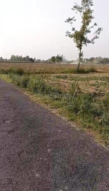 property_images/agricultural_in_aligarh_1781168647_6a2a7a07b98a4.jpg