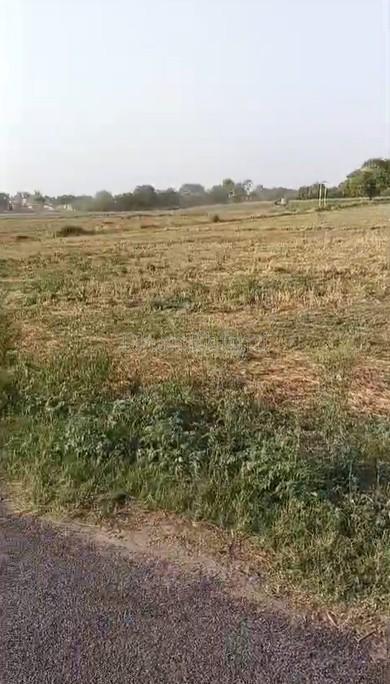 property_images/agricultural_in_aligarh_1781168647_6a2a7a07bc995.jpg