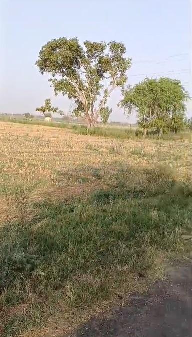 property_images/agricultural_in_aligarh_1781168647_6a2a7a07c2ea1.jpg