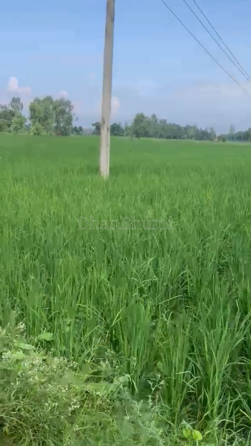 property_images/agricultural_in_aligarh_1787295401_6a87f6a9a10a3.PNG