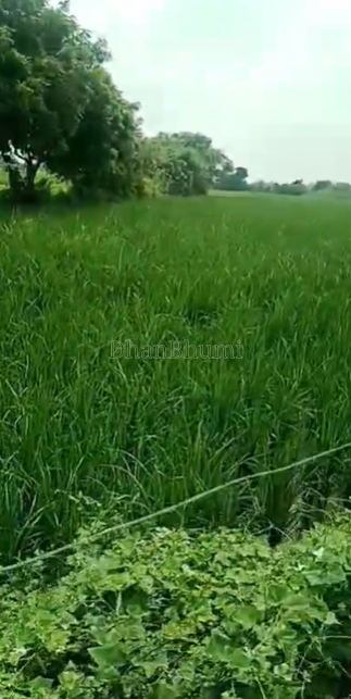 property_images/agricultural_in_aligarh_1788933701_6aa0f64522366.png