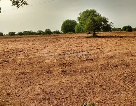 property_images/agricultural_in_aligarh_1790063306_6ab232ca367a0.png