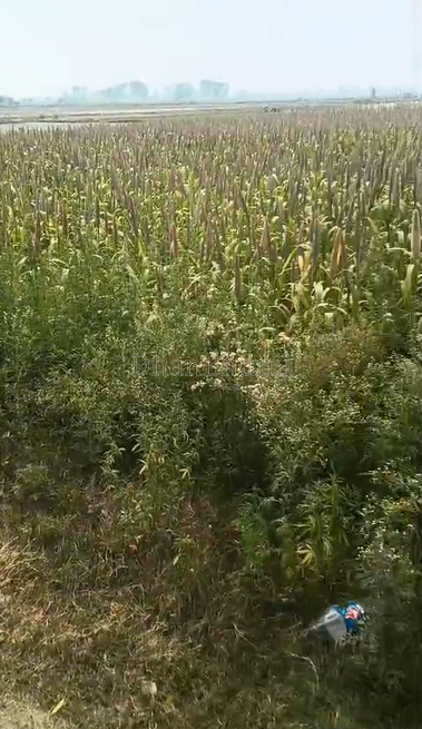 property_images/agricultural_in_aligarh_1790233928_6ab4cd48ed364.png