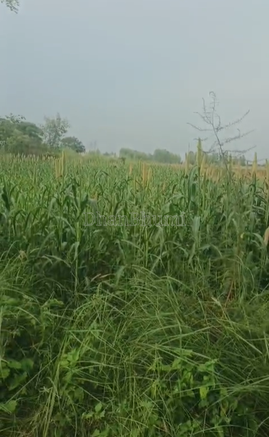 property_images/agricultural_in_aligarh_1790235020_6ab4d18cc6aad.png