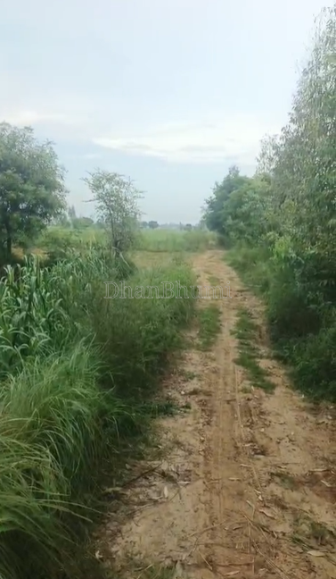 property_images/agricultural_in_aligarh_1790235020_6ab4d18cdf787.png