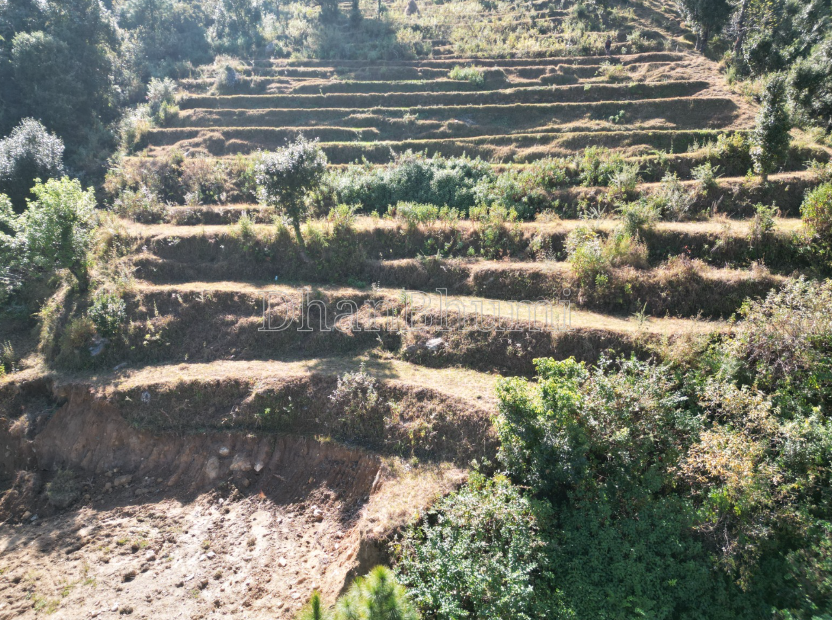 property_images/agricultural_in_almora_1792565375_6ad8607f3a468.PNG