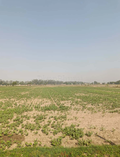 property_images/agricultural_in_alwar_1783071245_6a47820d1e452.PNG