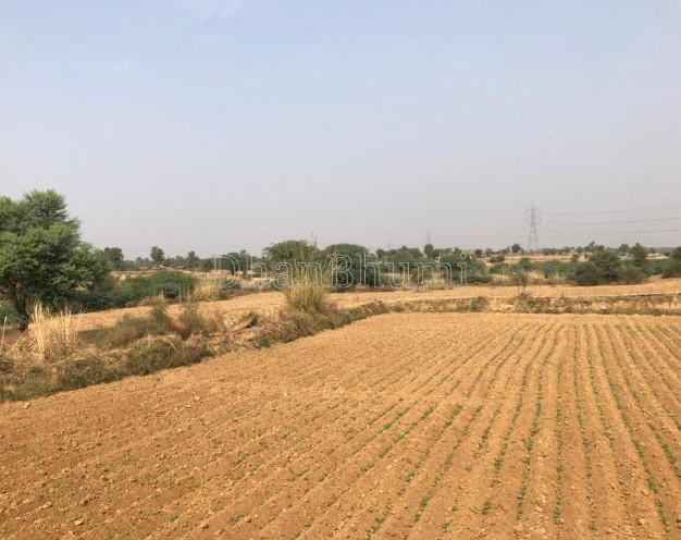 property_images/agricultural_in_alwar_1783413665_6a4cbba1b6ef3.jpg